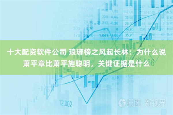 十大配资软件公司 琅琊榜之风起长林：为什么说萧平章比萧平旌聪明，关键证据是什么