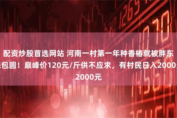 配资炒股首选网站 河南一村第一年种香椿就被胖东来包圆！巅峰价120元/斤供不应求，有村民日入2000元