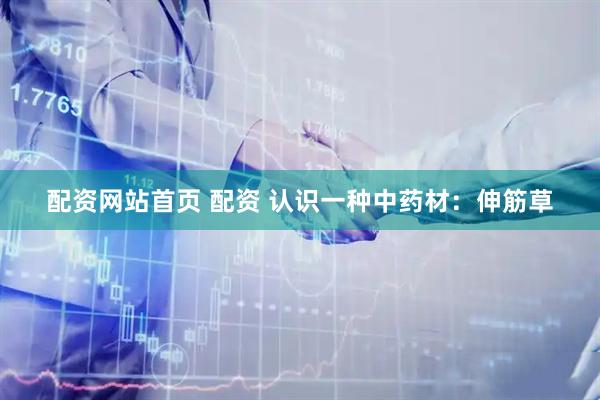 配资网站首页 配资 认识一种中药材：伸筋草