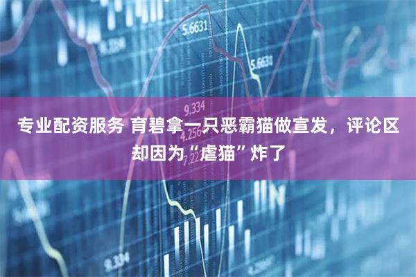 专业配资服务 育碧拿一只恶霸猫做宣发，评论区却因为“虐猫”炸了